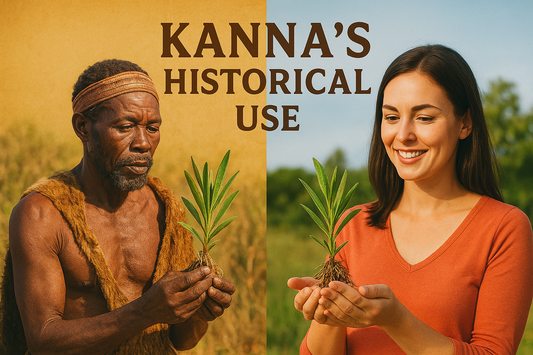 What is Kanna? Ancient Plant, Modern Application