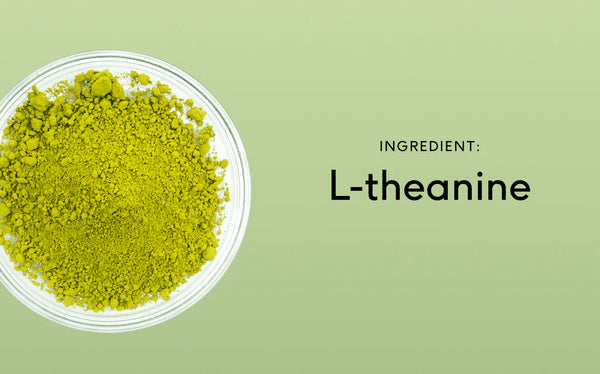 Why you should be taking L-theanine Daily